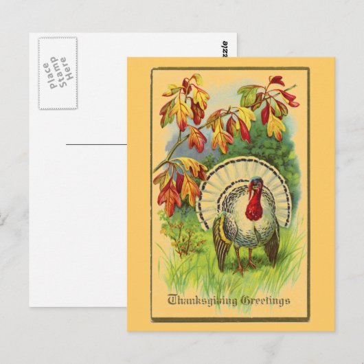  Wit Turkije Briefkaart (Voorkant / Achterkant)