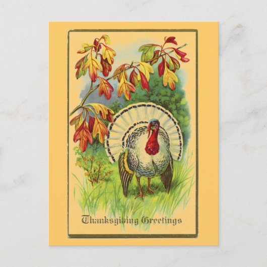  Wit Turkije Briefkaart (Voorkant)