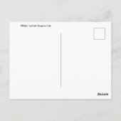 Wit Turks Angora Kattenportret Briefkaart (Achterkant)
