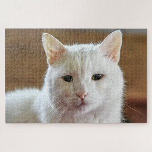 Wit Turks Angora Kattenportret Legpuzzel