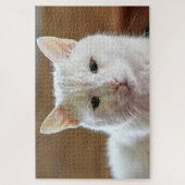 Wit Turks Angora Kattenportret Legpuzzel (Verticaal)