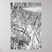 wit uitheems gras poster (Voorkant)