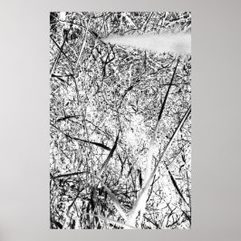 wit uitheems gras poster