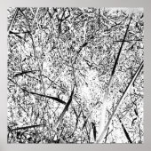 wit uitheems gras poster (Voorkant)