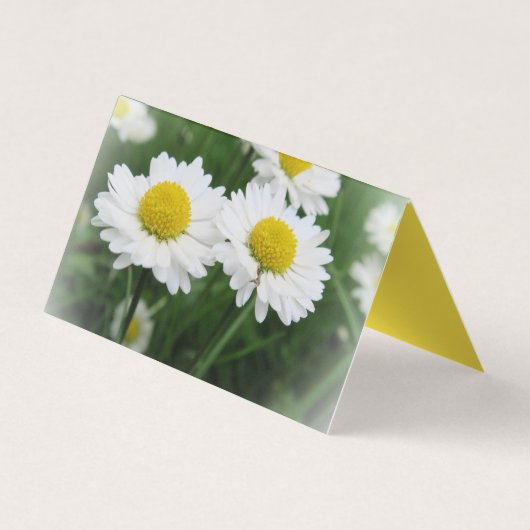 Wit verdiepte de Horizontale Tent van de Douane Vo Visitekaartje (Achterkant)