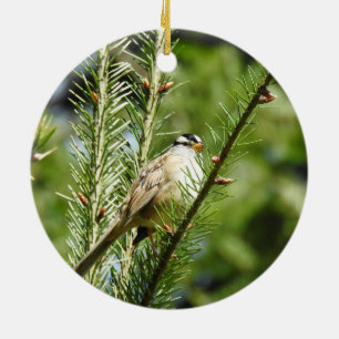 Wit-volle mus, vogels, wilde dieren, sierplanten keramisch ornament