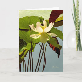 Wit waterlily kaart