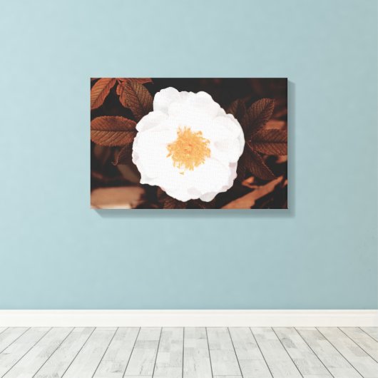 Wit wild Roos op koperkleurige herfstbladeren Canvas Afdruk (Insitu (Houten vloer))