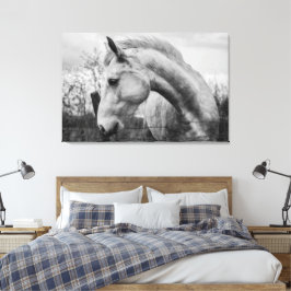 Wit Wild Spirited Horse Zwart en Wit Canvas Afdruk