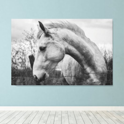 Wit Wild Spirited Horse Zwart en Wit Canvas Afdruk (Insitu (Houten vloer))