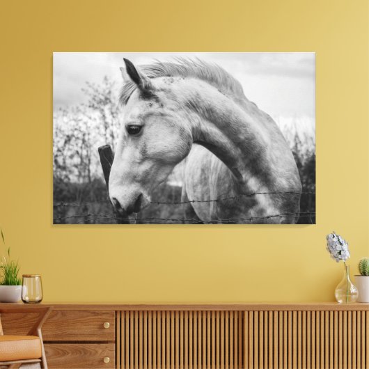 Wit Wild Spirited Horse Zwart en Wit Canvas Afdruk (Insitu (Woonkamer))