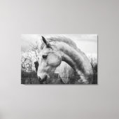 Wit Wild Spirited Horse Zwart en Wit Canvas Afdruk (Voorkant)