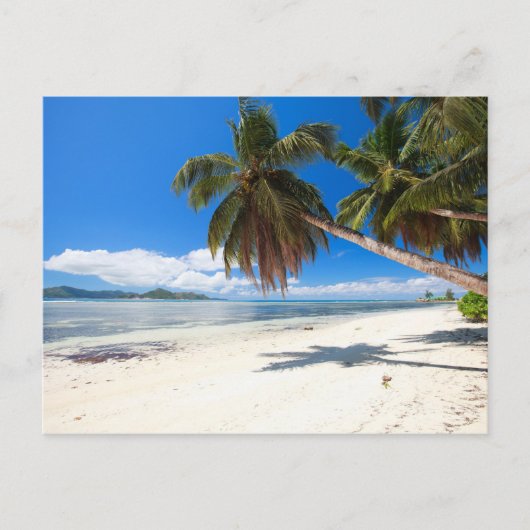 Wit zandstrand briefkaart (Voorkant)