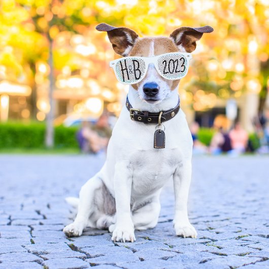 Wit "Zet deze op en Pose" Bruiloft Foto Trend Retro Zonnebril