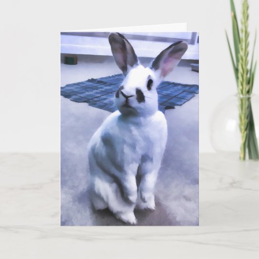 Wit & Zwart Konijntje Kaart (Voorkant)