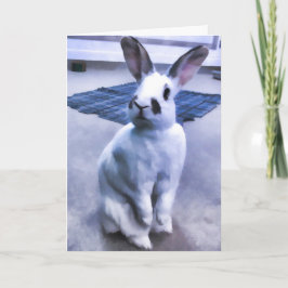 Wit & Zwart Konijntje Kaart