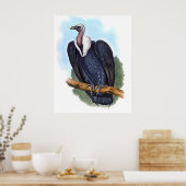 witbemand wijnbouwhuisdier poster (Keuken)