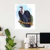 witbemand wijnbouwhuisdier poster (Thuiskantoor)