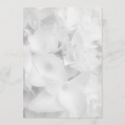 Witboek van het witboek van het programma van Flor Programmakaart (Achterkant)