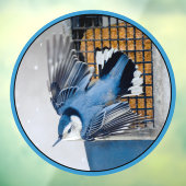 Witborstboomklever in Sneeuw Raamsticker (Vel 3)