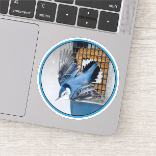 Witborstboomklever in Sneeuw Sticker