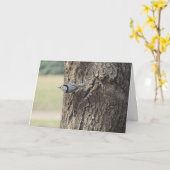 "Witborstboomklever" Pasen Kaart (Gele Bloem)