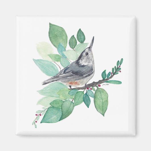 Witborstboomklever Vogel Kunst Magneet (Voorkant)