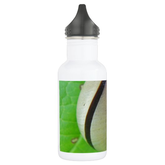 Witbruine slak waterfles  (Links)