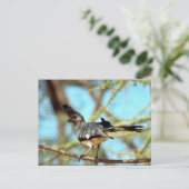 Witbuik Go Away Bird Briefkaart (Staand voorkant)