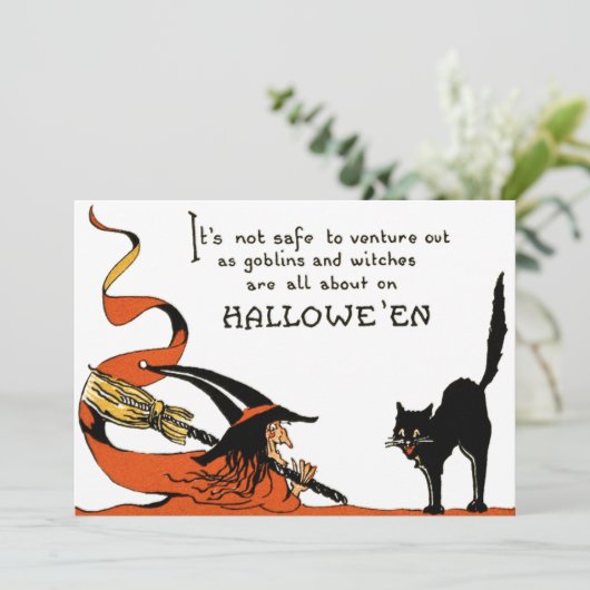 Witch Broom Black Cat (Staand voorkant)