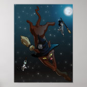 Witch Cat leerlingen | Vliegpraktijk Poster (Voorkant)