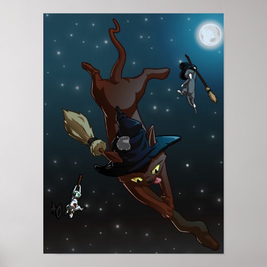 Witch Cat leerlingen | Vliegpraktijk Poster (Voorkant)