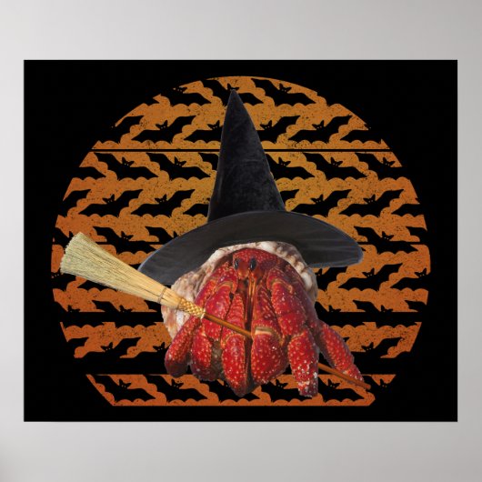 Witch Crab Funny Halloween Hermit Crab Lover Poster (Voorkant)