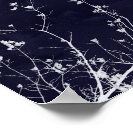 Witch en Moon Poster (Hoek)