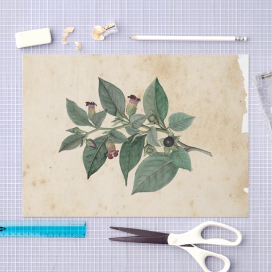 Witch Ephemera Design Series #11 Tissuepapier (Craft)