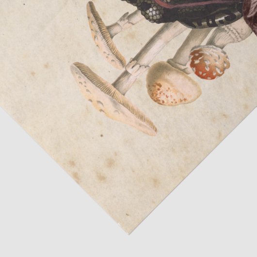 Witch Ephemera Design Series #5 Tissuepapier (Detail)