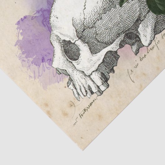 Witch Ephemera Design Series #6 Tissuepapier (Detail)