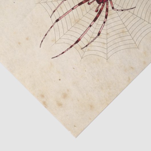 Witch Ephemera Design Series #7 Tissuepapier (Detail)