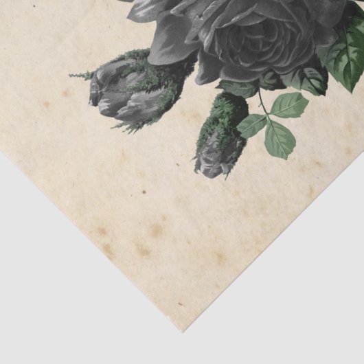 Witch Ephemera Design Series #9 Tissuepapier (Detail)