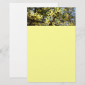 Witch Hazel Flowers Briefpapier (Voorkant / Achterkant)