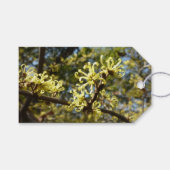 Witch Hazel Flowers Cadeaulabel (Voorkant (Horizontaal))