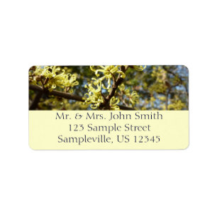 Witch Hazel Flowers Etiket