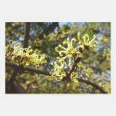 Witch Hazel Flowers Inpakpapier Vel (Voorkant)