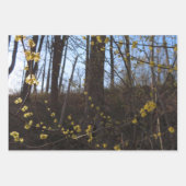 Witch Hazel Flowers Inpakpapier Vel (Voorkant 3)