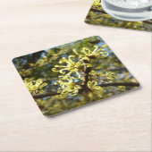 Witch Hazel Flowers Kartonnen Onderzetters (Schuin)