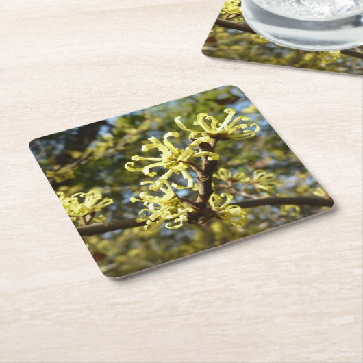 Witch Hazel Flowers Kartonnen Onderzetters (Schuin)