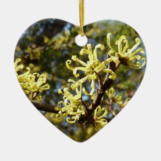 Witch Hazel Flowers Keramisch Ornament (Voorkant)