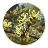 Witch Hazel Flowers Keramische Knop (Voorkant)