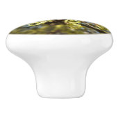 Witch Hazel Flowers Keramische Knop (Zijkant)