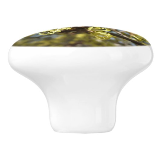 Witch Hazel Flowers Keramische Knop (Zijkant)